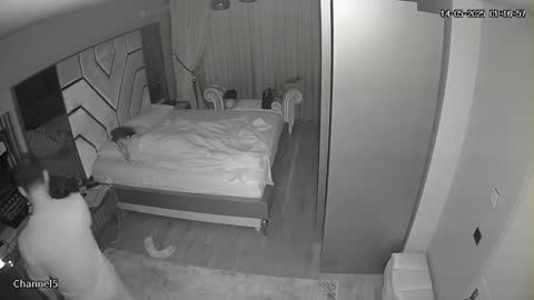 Biraz kavga biraz sex Part 7