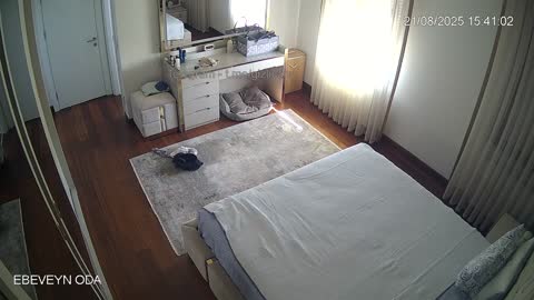 Köpekli çift 5 Part 2