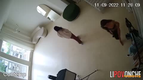 Moda Salonu ve Striptiz Kulüp IPcam Serisi 5