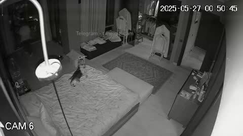 TR CAM GENEL PAYLAŞIM 9 Part 86