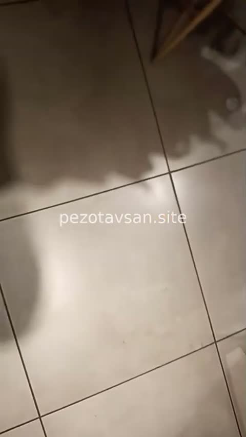 Tr Etek Altı Seri 7- 22