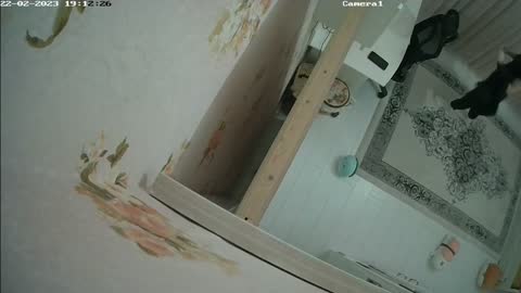Üniversiteli Kız -3 Part 7