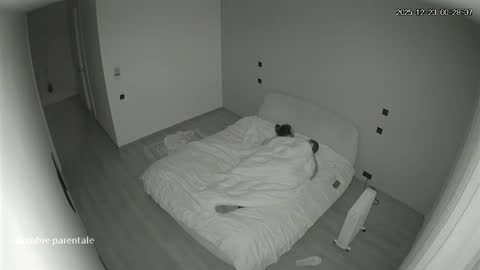 Yabancı IPcam Karışık Seri 4 150