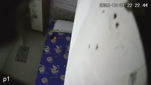 Yabancı IPcam Karışık Seri 4 172