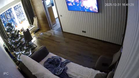 Yabancı IPcam Karışık Seri 4 203