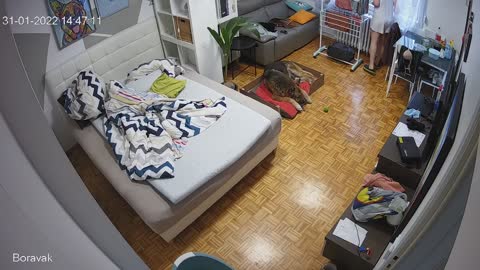 Yabancı IPcam Karışık Seri 4 20