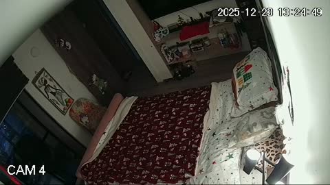 Yabancı IPcam Karışık Seri 4 213
