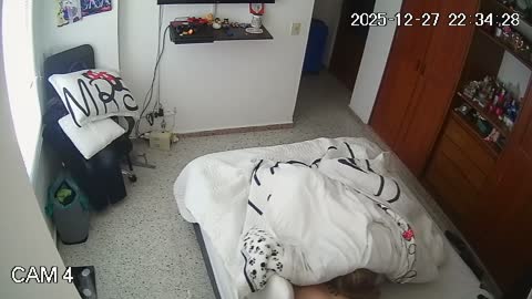 Yabancı IPcam Karışık Seri 4 278
