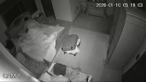 Yabancı IPcam Karışık Seri 4 297