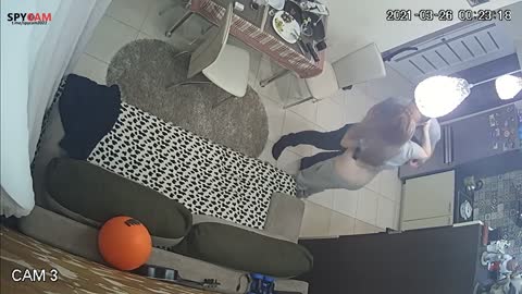 Yabancı IPcam Karışık Seri 4 37
